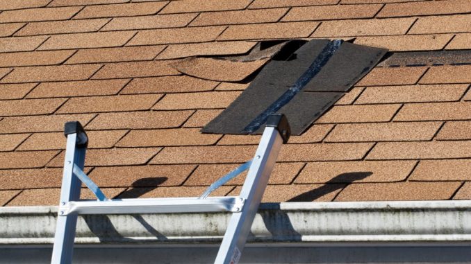 Inspecting for Resilience: Roof Examinations for Longevity