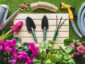 Building a Garden Fence: A DIY Adventure