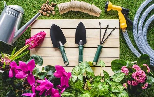 Building a Garden Fence: A DIY Adventure